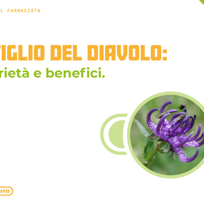 Artiglio del diavolo: proprietà e benefici