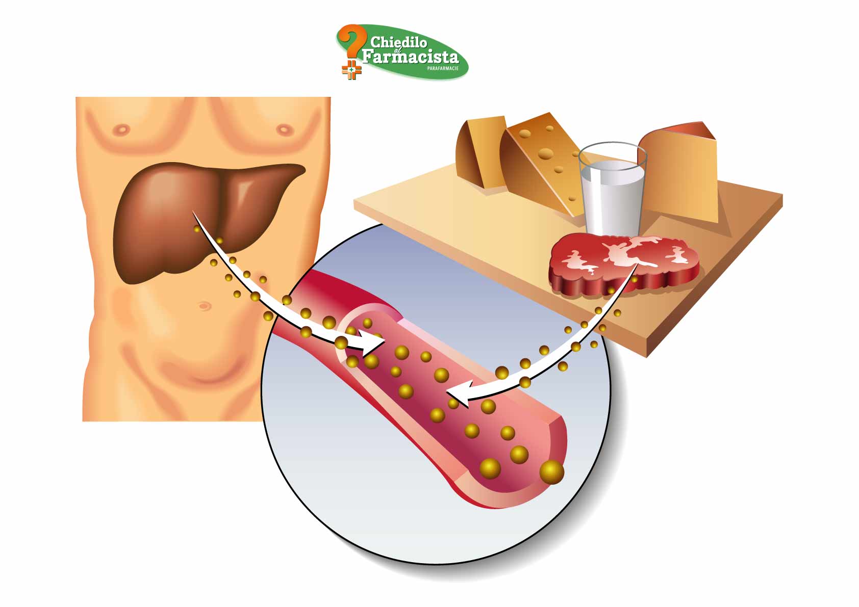 Ipercolesterolemia: gli alimenti consentiti e quelli da evitare
