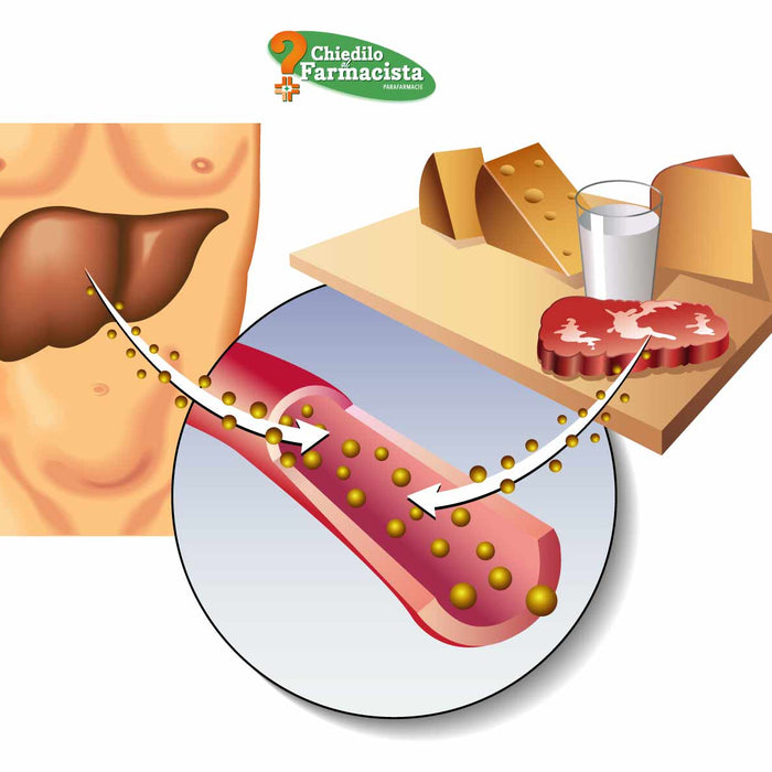 Ipercolesterolemia: gli alimenti consentiti e quelli da evitare