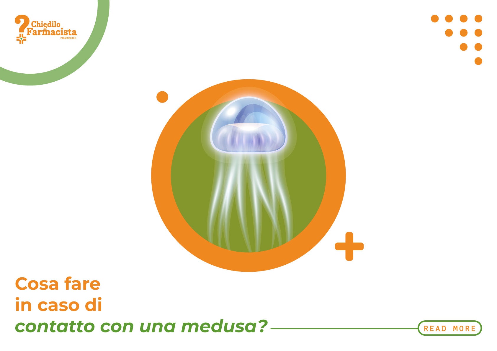 Contatto con una medusa: cosa fare