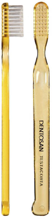 Dentosan spazzolino testacorta