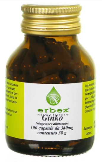 Ginkgo biloba 100 capsule 380 mg