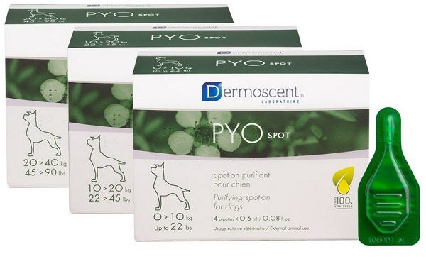 Pyo spot cane 20-40 kg