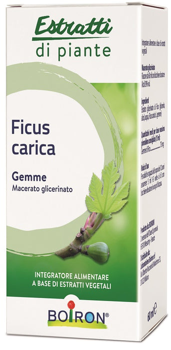 Ficus carica boiron macerato glicerico 60 ml