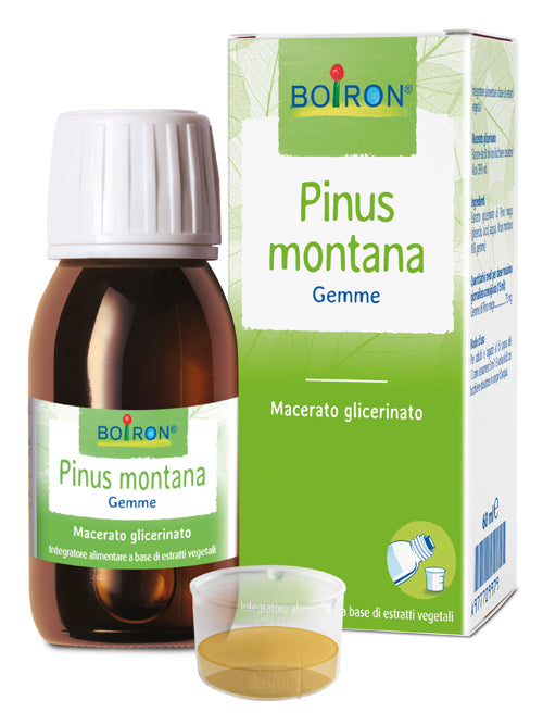 Pinus montana boiron macerato glicerico 60 ml