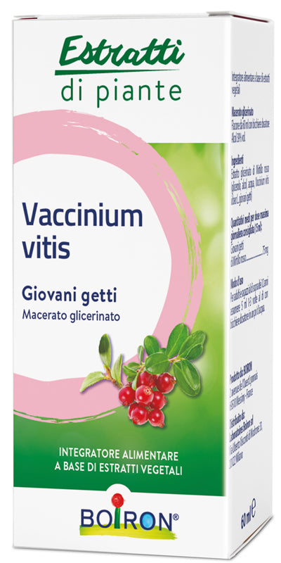Vaccinium vitis macerato glicerico 60 ml