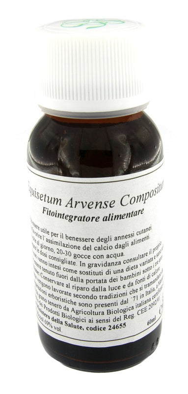 Lvs 41n equisetum arvense compositum