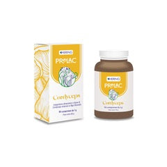 Prolac cordyceps 90 compresse