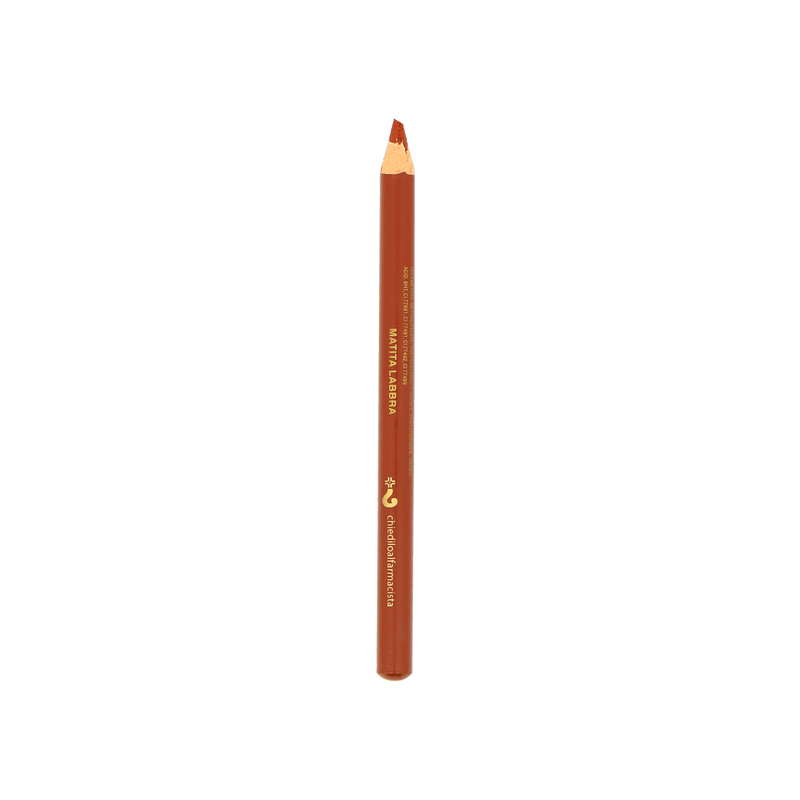 Matita labbra n.31